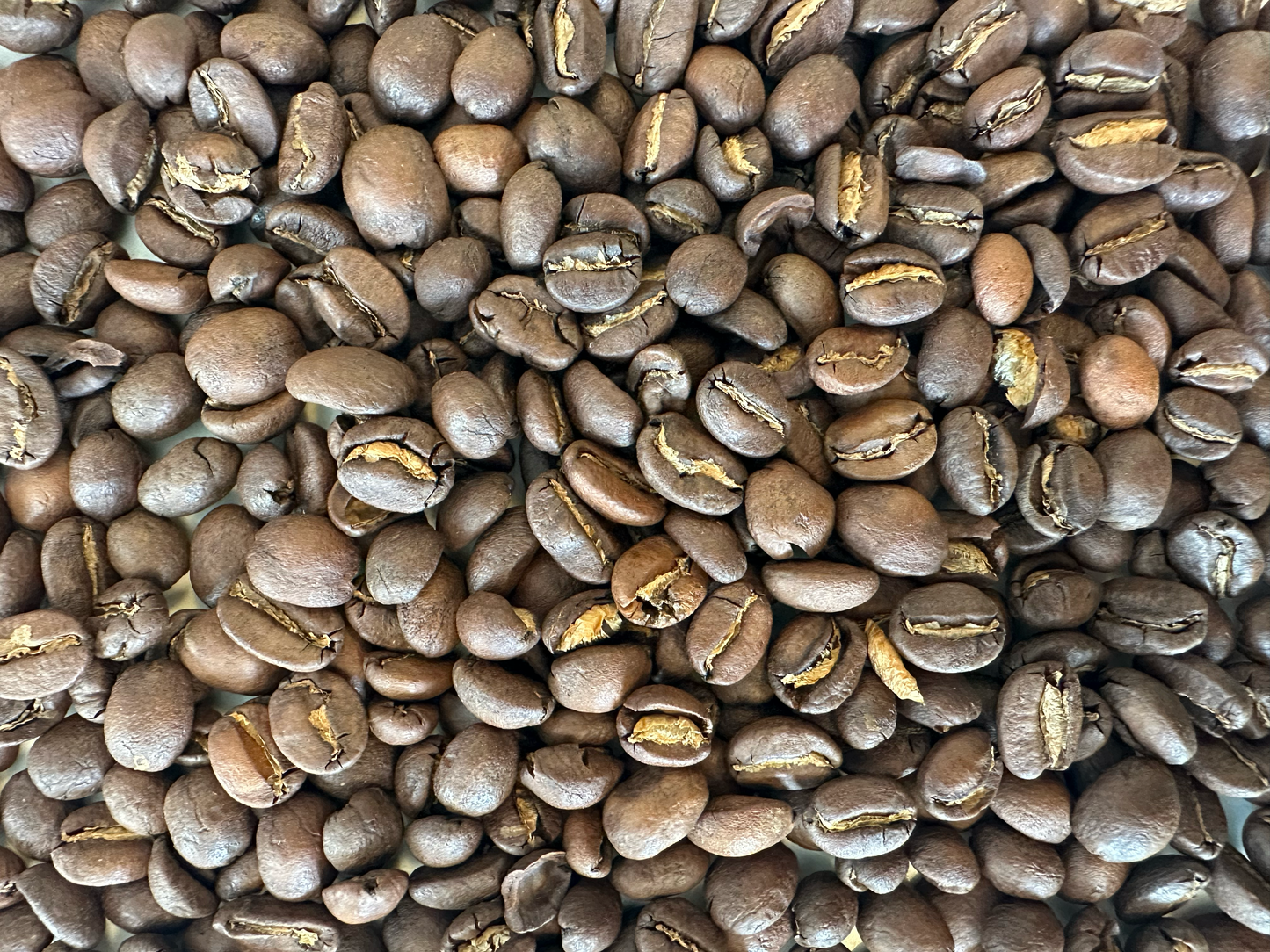 Ratnagiri | 12oz | Coffee of the Month